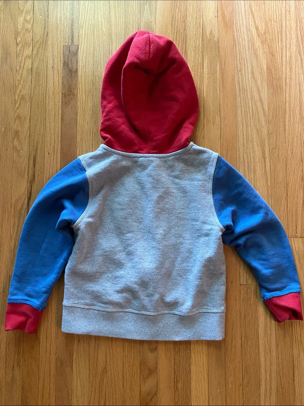 Hanna Andersson Spider Zip Hoodie in Red, Blue & Gray